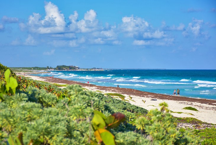 15 Cozumel Beaches to Visit