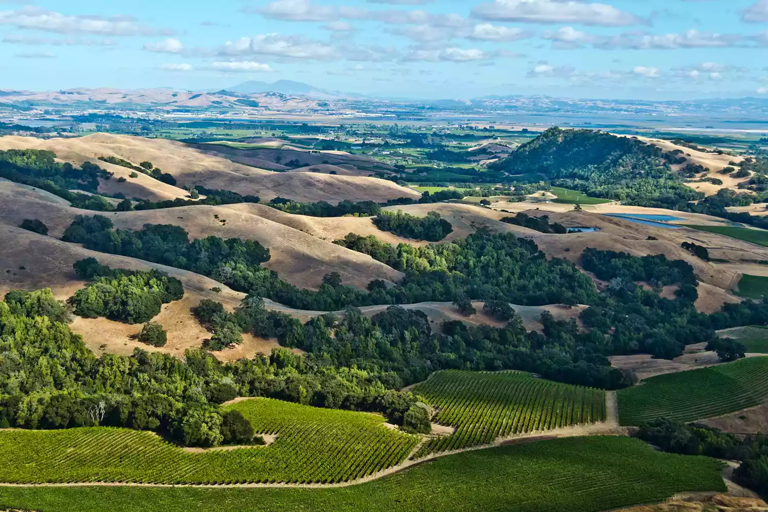 This Californian Destination Has Amazing Wine, Stunning Coastline, and Adorable Small Towns