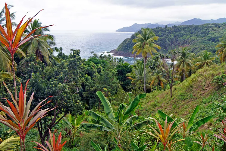 The "Nature Isle" of the Caribbean Is Home to Lush Rain Forests, Five-Star Hotels, and a Vibrant Creole Culture