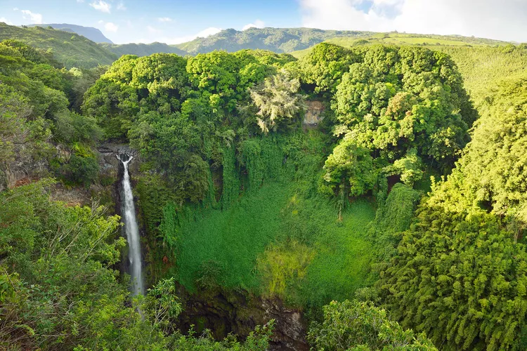 Which of These Two Hawaiian Islands Is Right for You: Maui or Kauai?