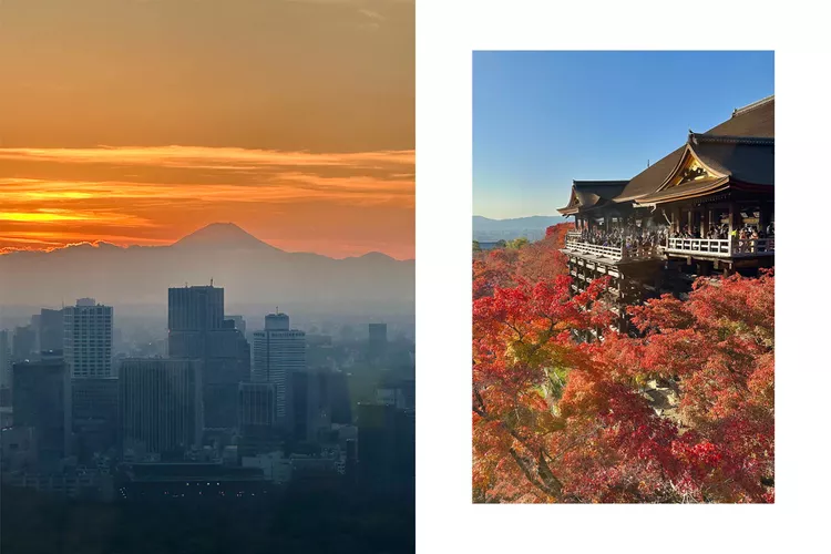 Here are the latest developments in Japan for tourists planning a trip in 2023.